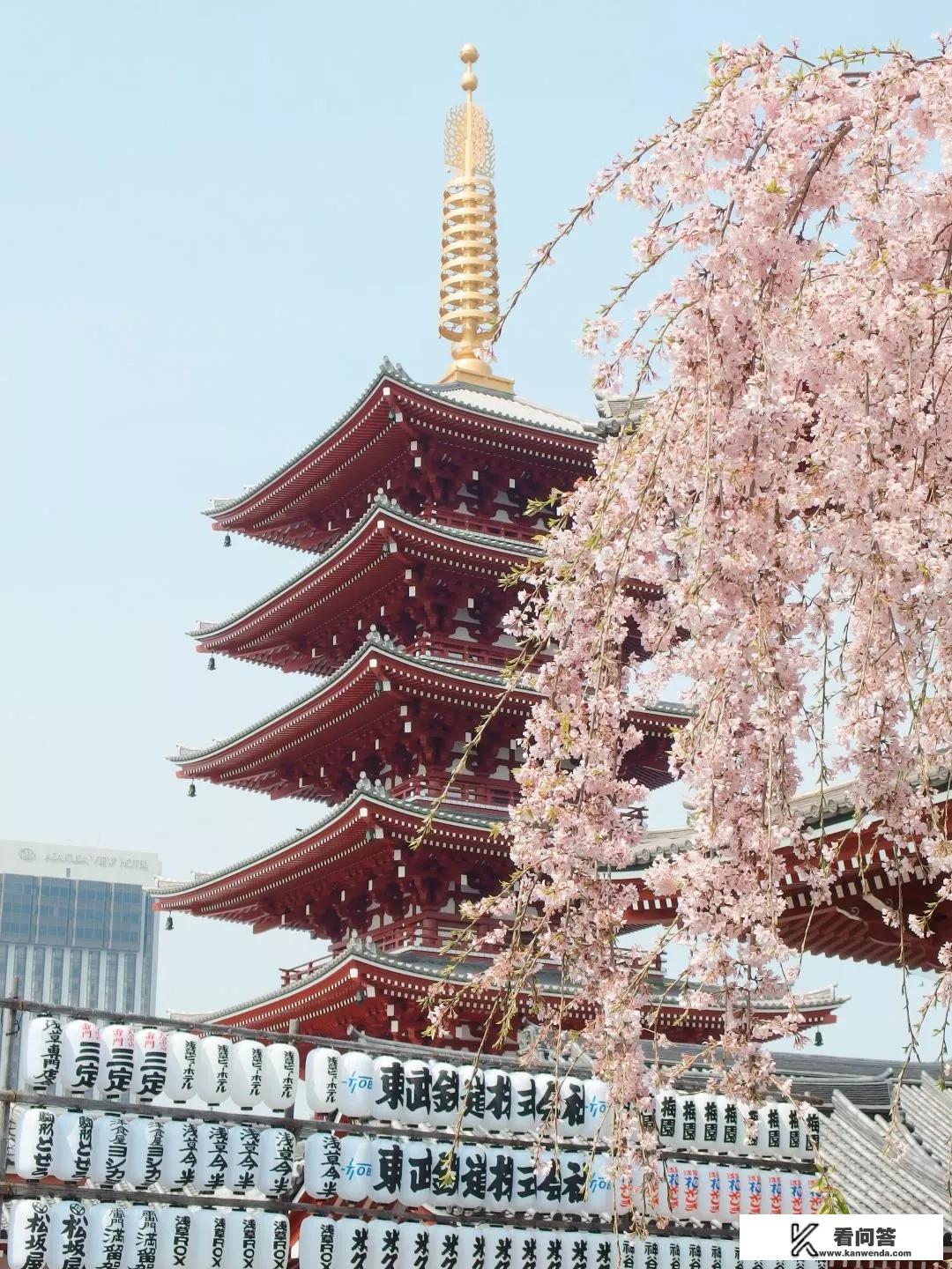 春节去日本玩，有哪些攻略推荐