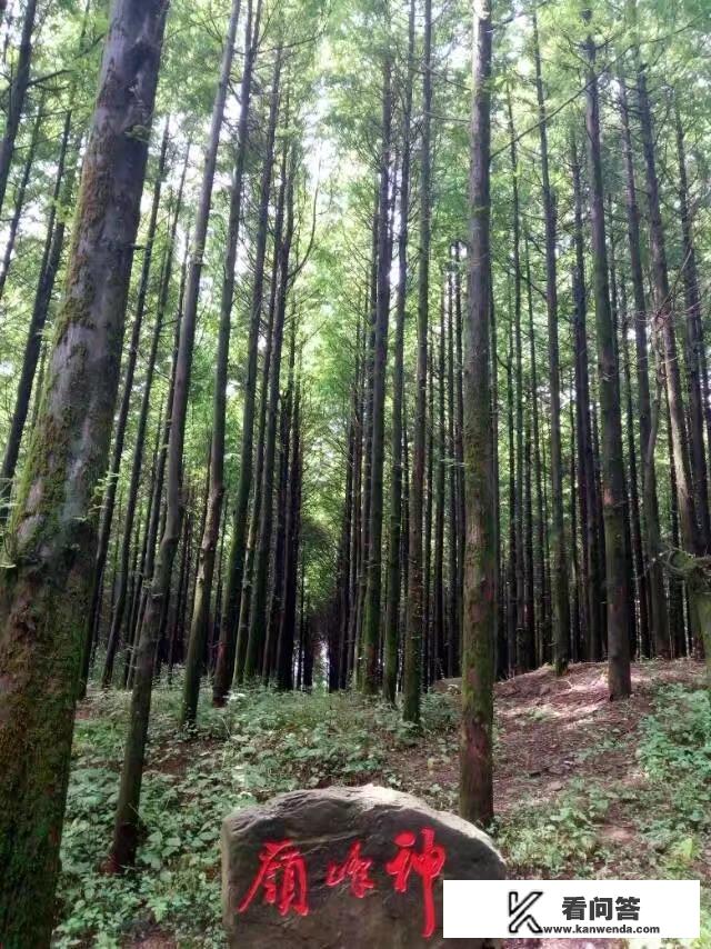 重庆周边旅游，有哪些景点，有什么建议？