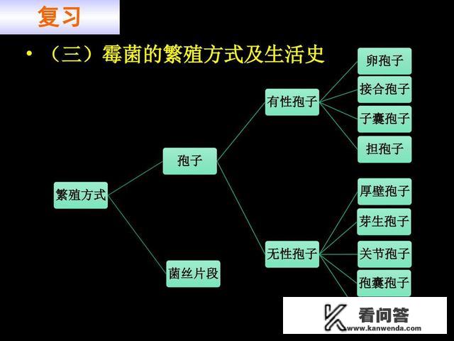 人类为何不能无性繁殖？为何得男女繁殖？