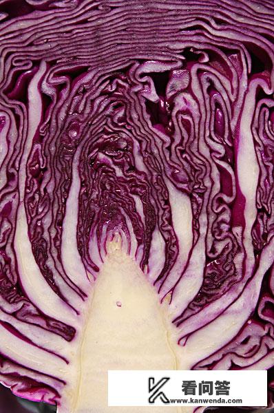 紫包菜的食用方法？