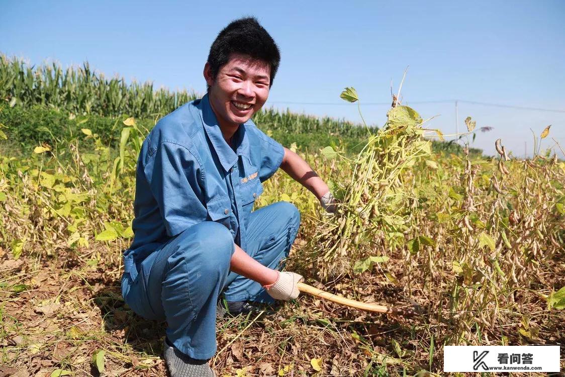 豆粕价格出现持续上涨，你认为接下来还有上涨空间吗？