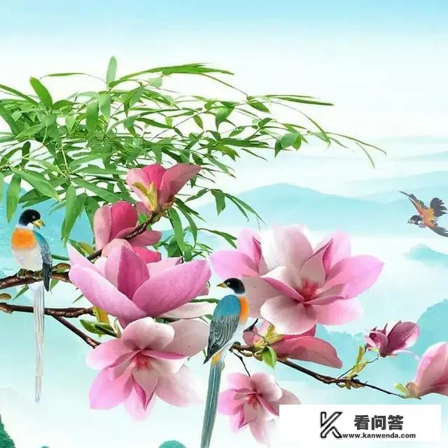 师父我还小不想下山是什么小说？