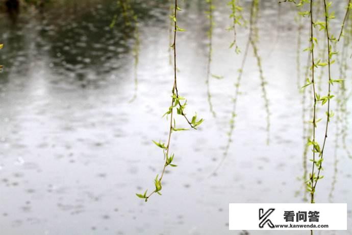 红尘烟雨类似的小说？