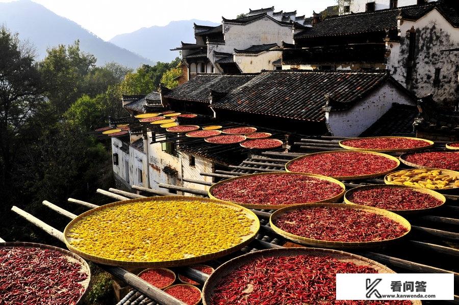 请问目前“大美上饶免费游”的活动，篁岭景区免门票不？除了门票还有其他的费用么？