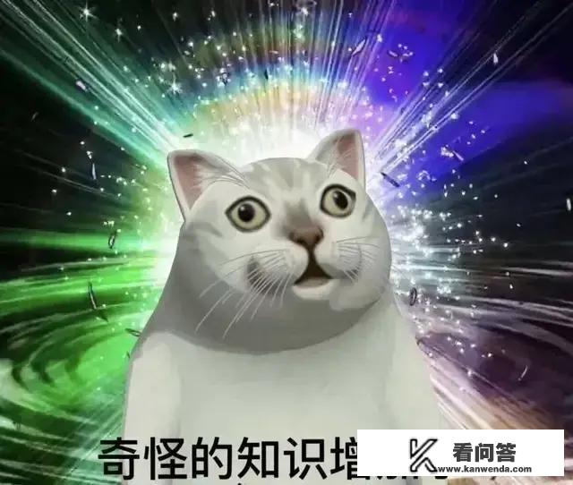 你听过哪些被啪啪打脸的经历？