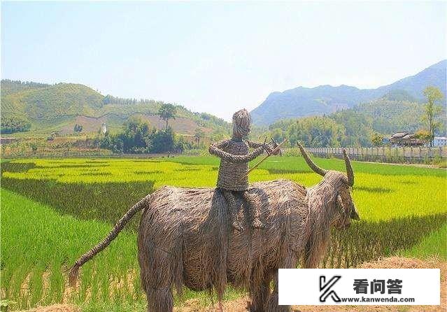 洛阳旅游宣传片树立的形象及效果？