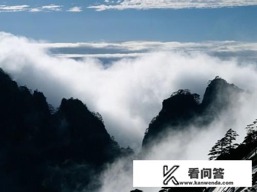 扬州去黄山有旅游团吗？