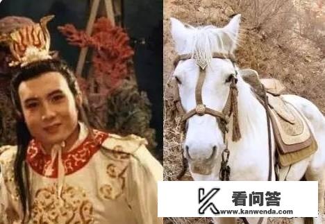 西游记：三界之中五大坐骑都有哪些？