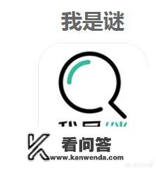 猫鼠游戏男主角叫什么名字？