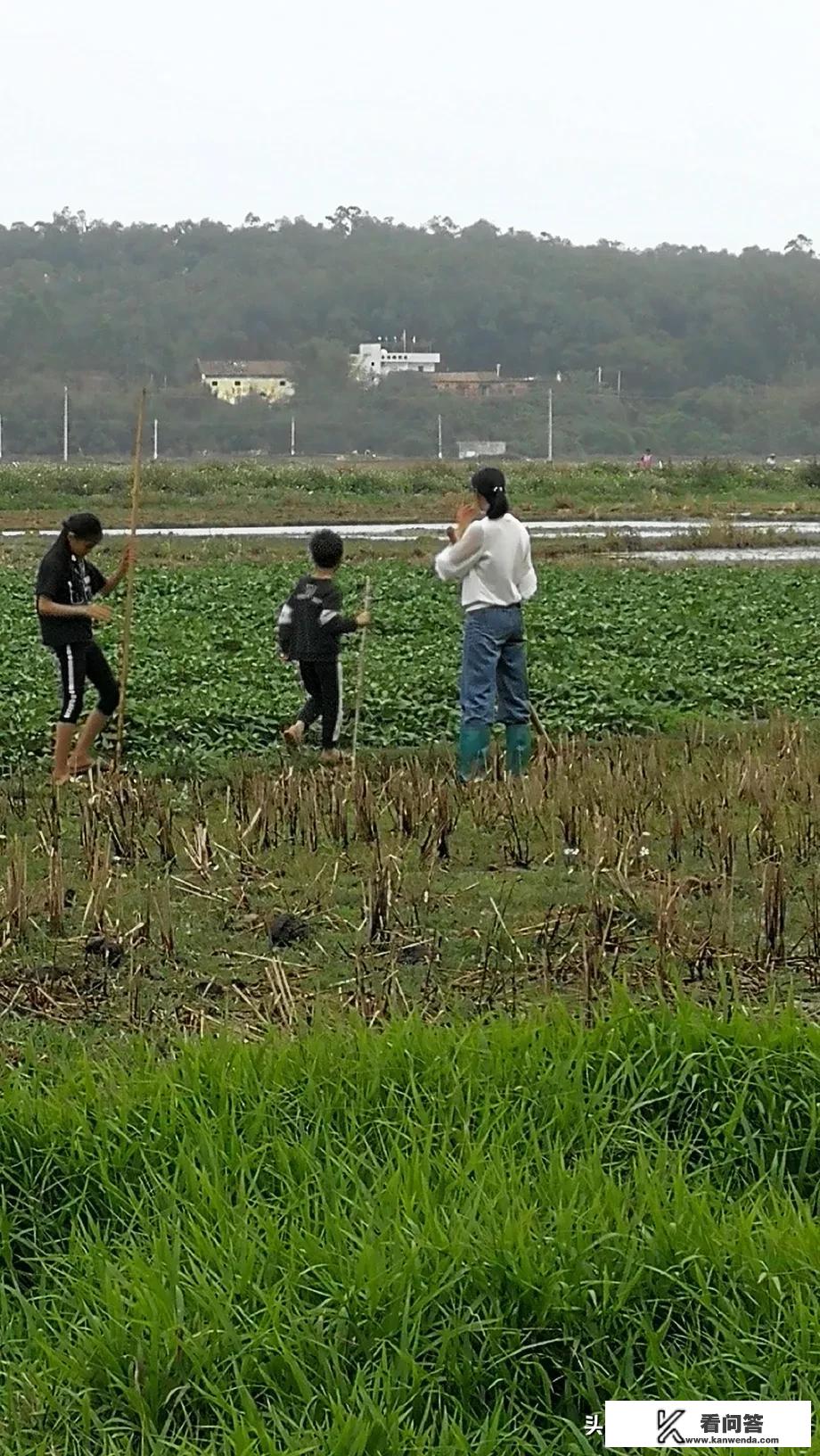 给小学生该如何制定学习计划