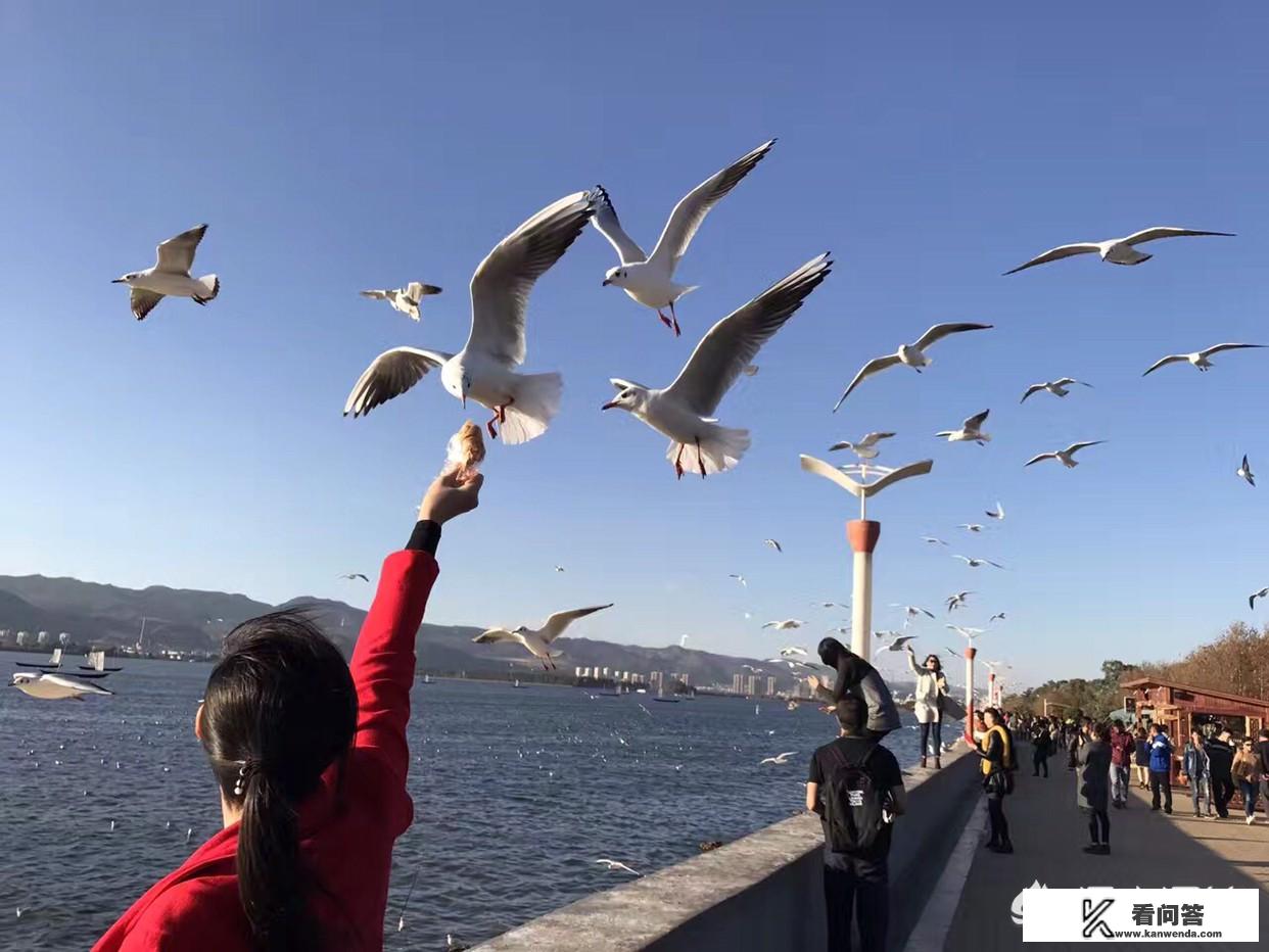 一月云南最值得旅游景点