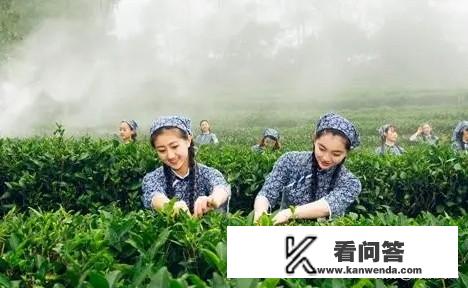 爱情公寓5第几集卖茶女