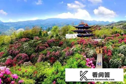 6、7月份你们想去哪旅行