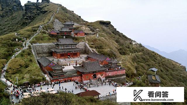 今年旅游业会好吗，大概什么时候可以旅游