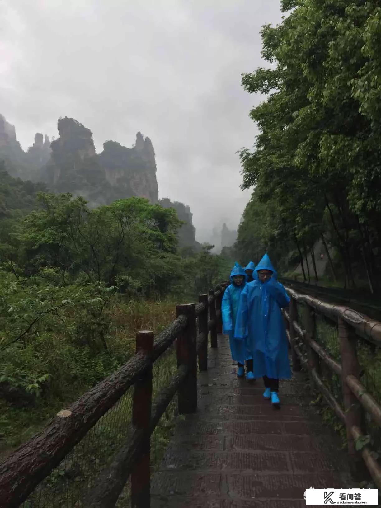 报团旅游，香港导游是不是会被强迫购物