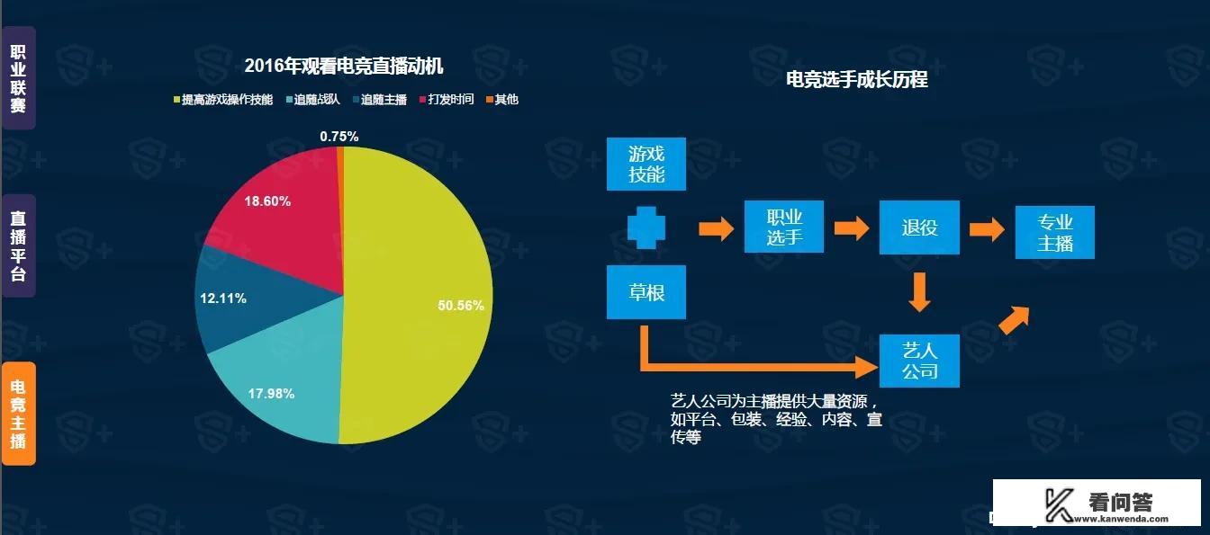 数字服务业包括什么