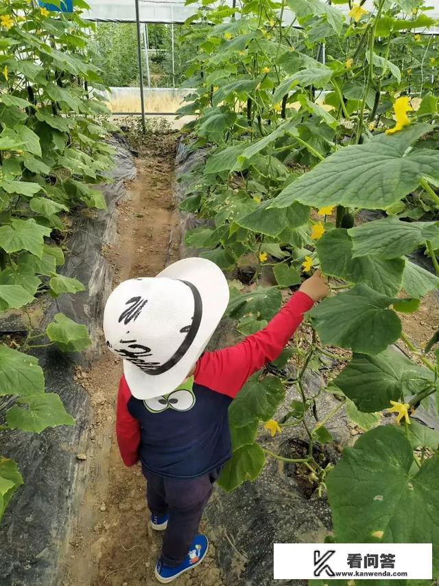 和家人一起旅游应该去哪里？