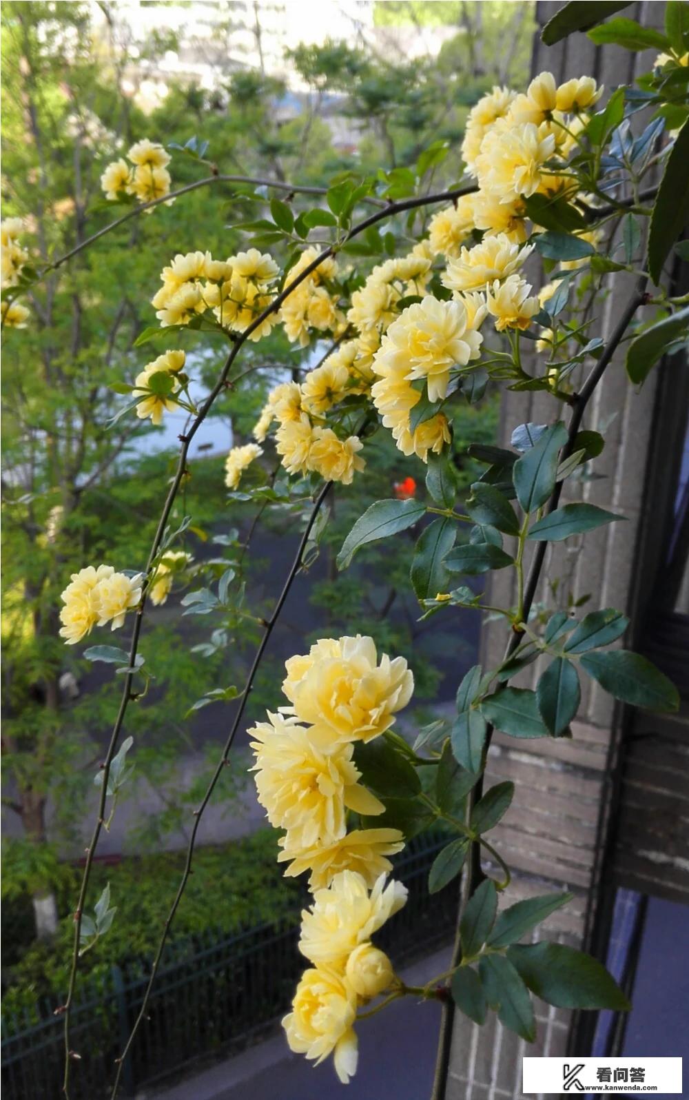 一家三口相册名称怎么取好听? 一家三口相册名称怎么取好听?