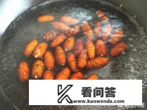 蚕蛹好吃吗？里面有什么？