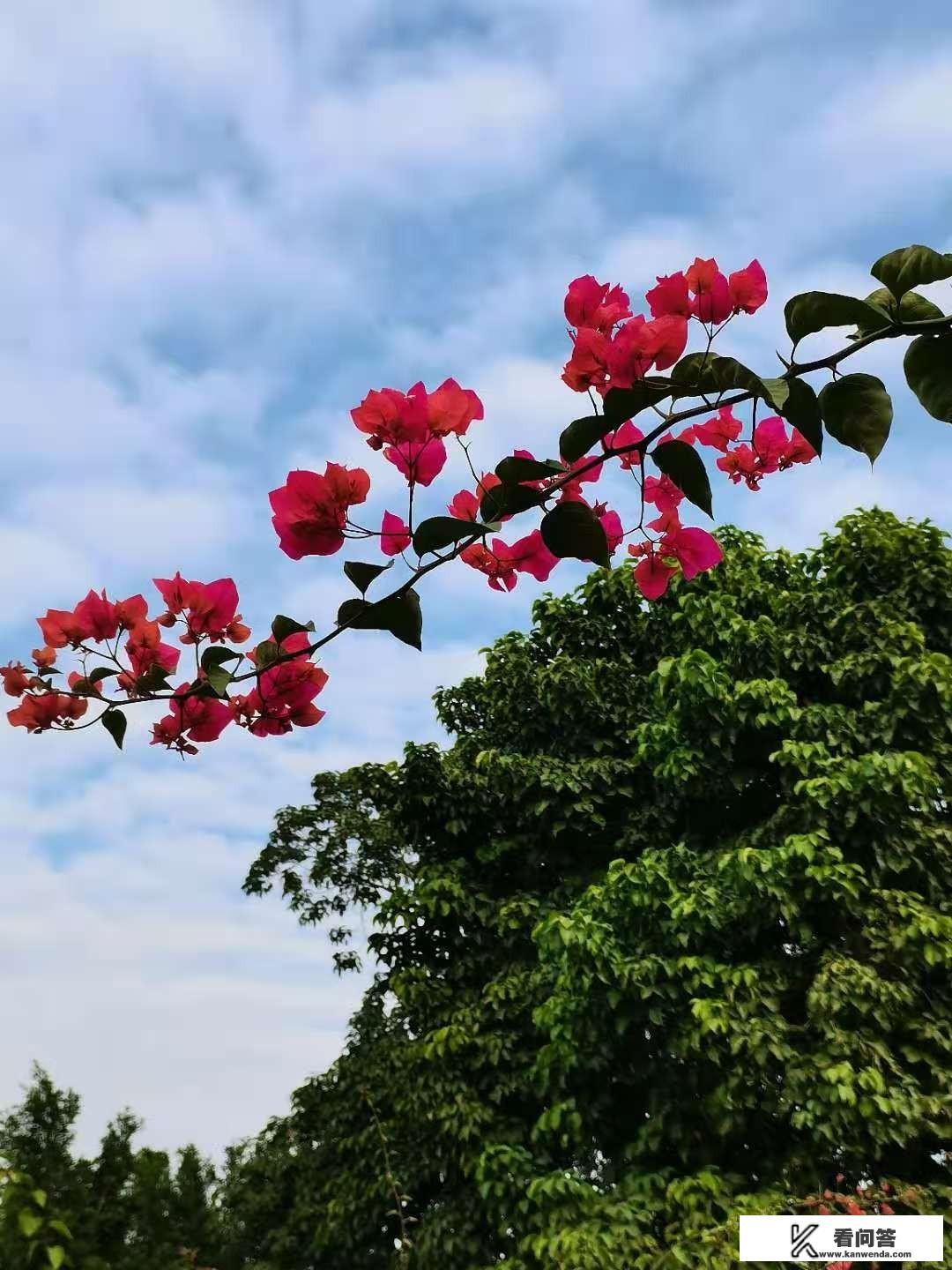 2021年春节，学校小学生放假时间？