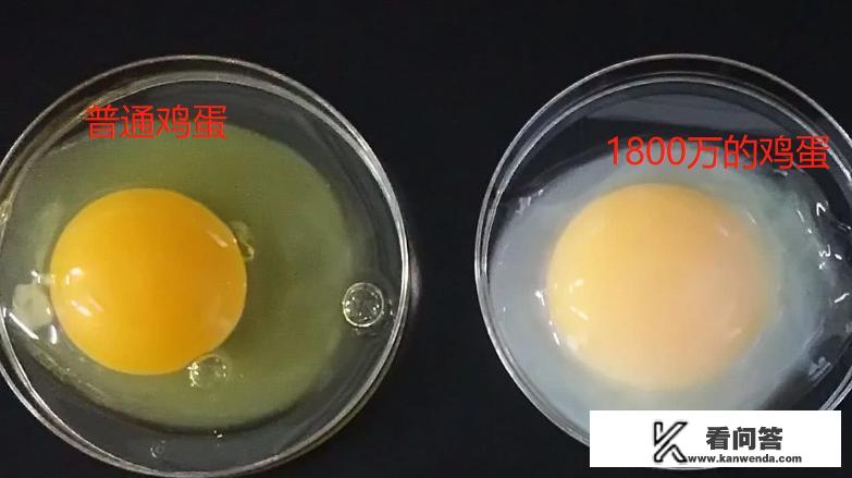 一个鸡蛋净含量多少克？