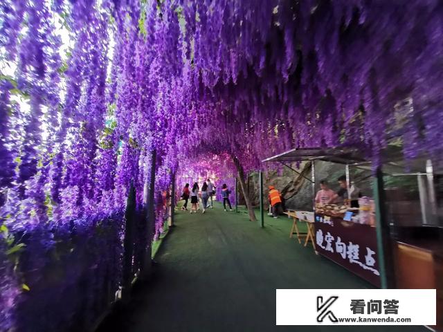 6月份适合去老君山吗？