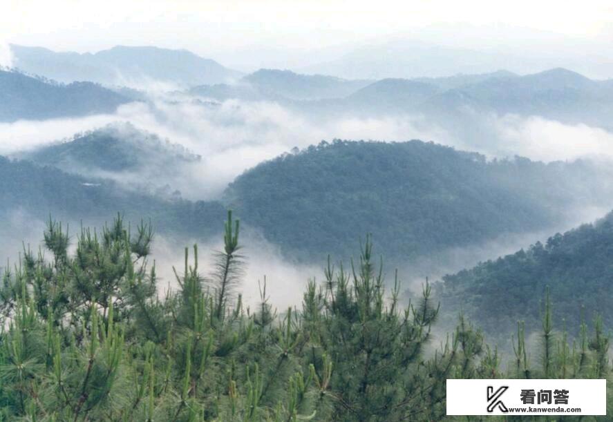导游带团过香港关流程？