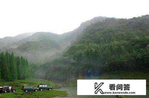 导游带团过香港关流程？