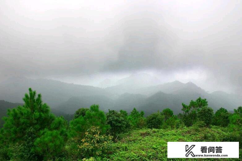 导游带团过香港关流程？