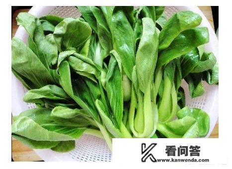 坐月子能吃豆角的吗，还是吃些什么蔬菜好呢？