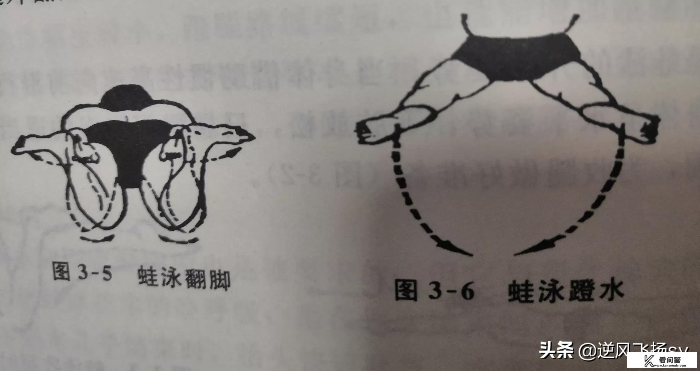 大运会游泳决赛赛程？