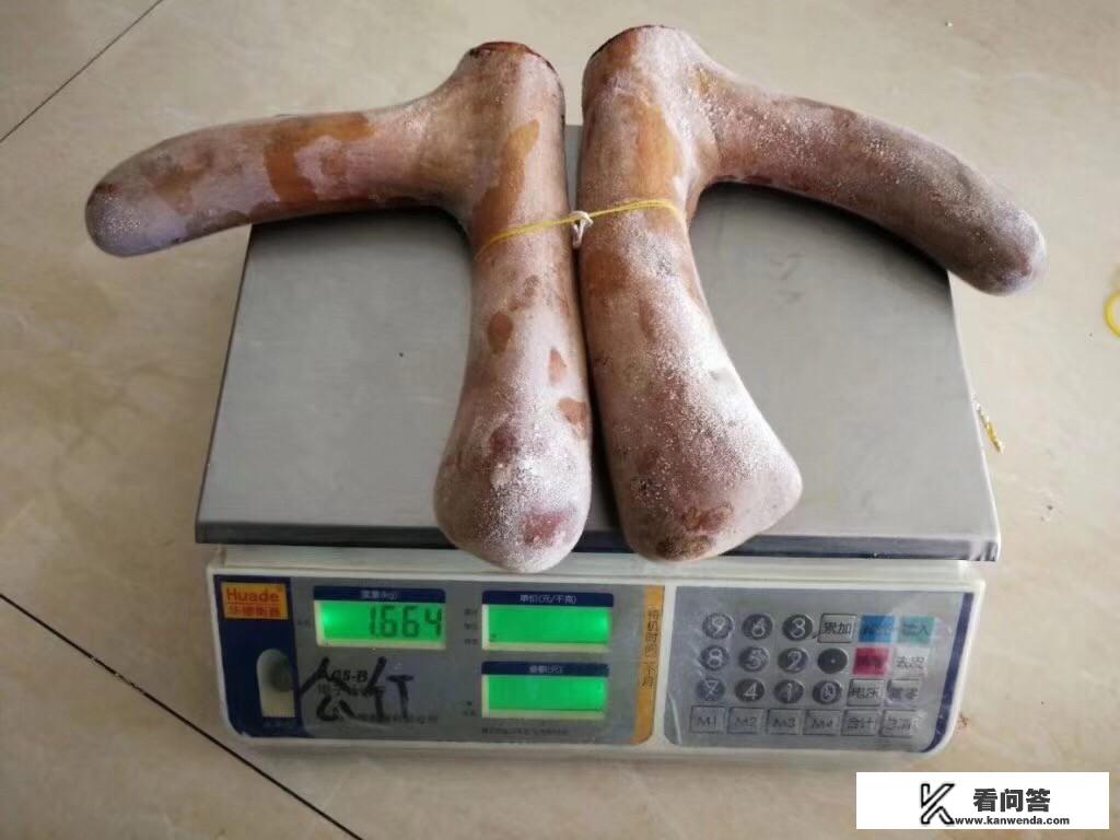 泡的酒里可以加入鹿鞭鹿茸和枸杞，还可以加什么？