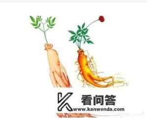 泡的酒里可以加入鹿鞭鹿茸和枸杞，还可以加什么？