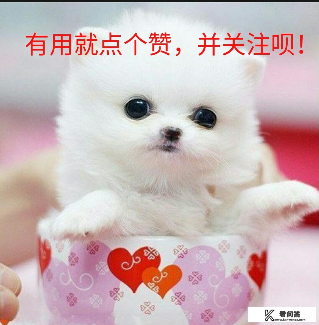 htc最火的一款手机？