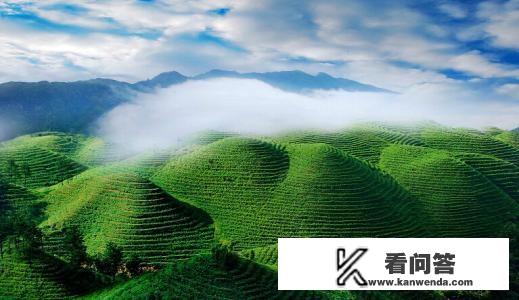 单身姑娘如何过的潇洒? 单身姑娘如何过的潇洒?