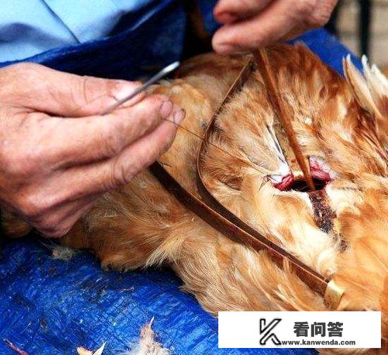 农村题材的电视剧有哪些？