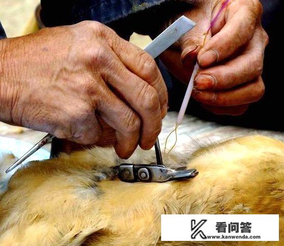 农村题材的电视剧有哪些？