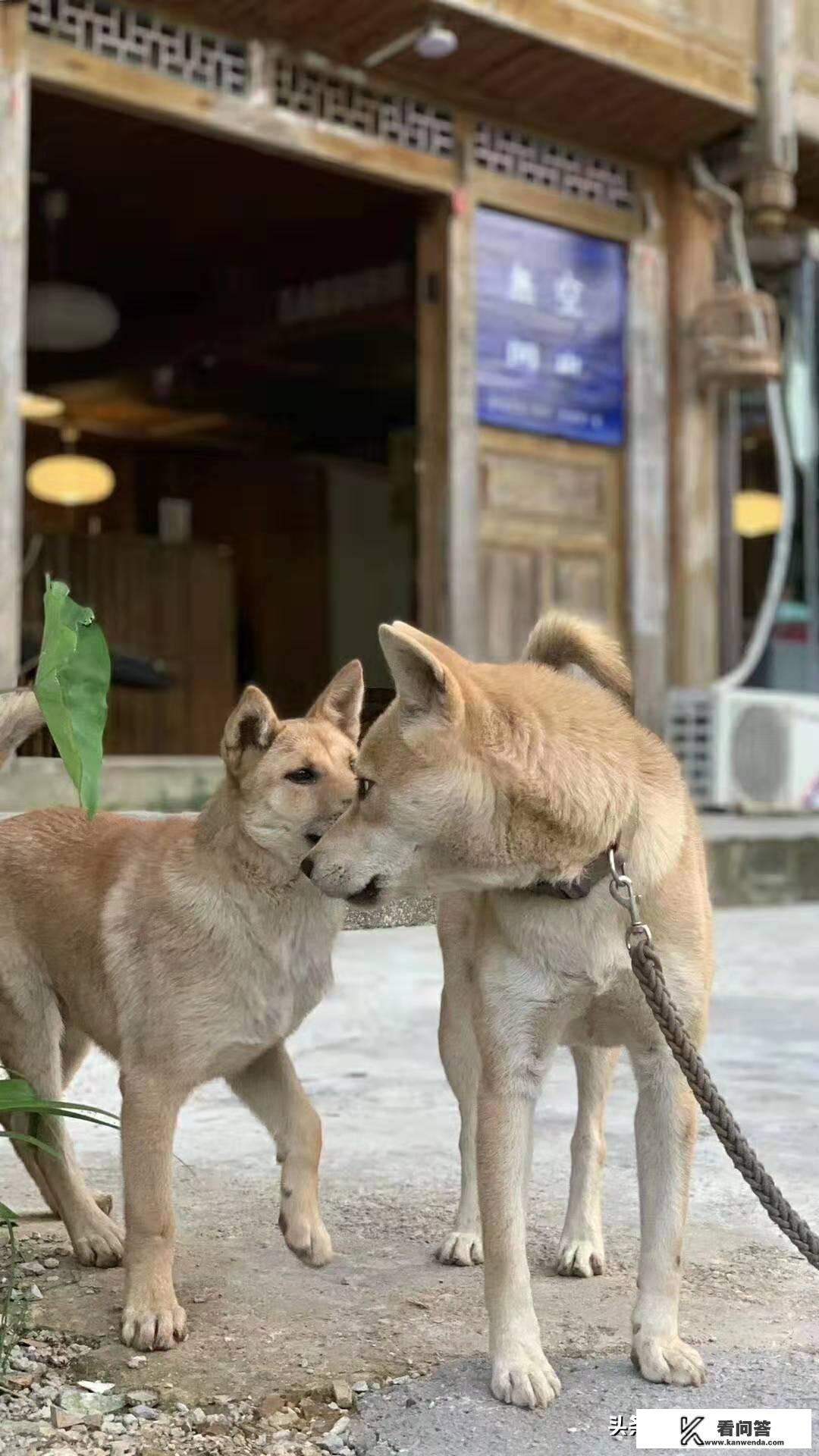 两个大人带一个一岁小孩去哪玩？