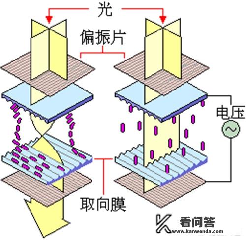 LCD驱动电路的工作原理是什么？