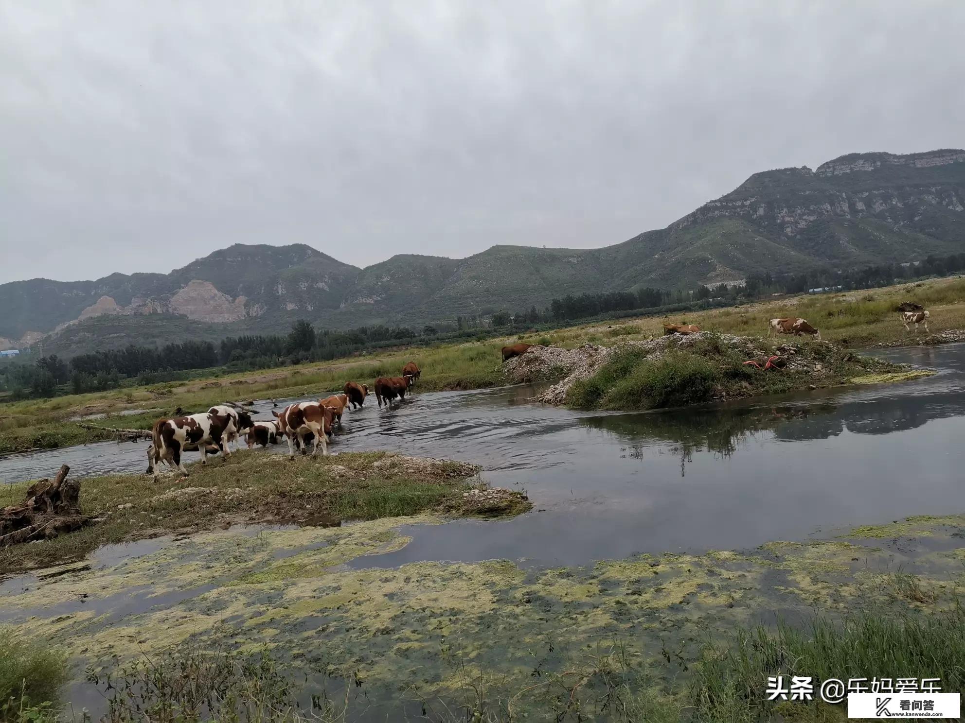 适合带一岁小孩旅游的地方？