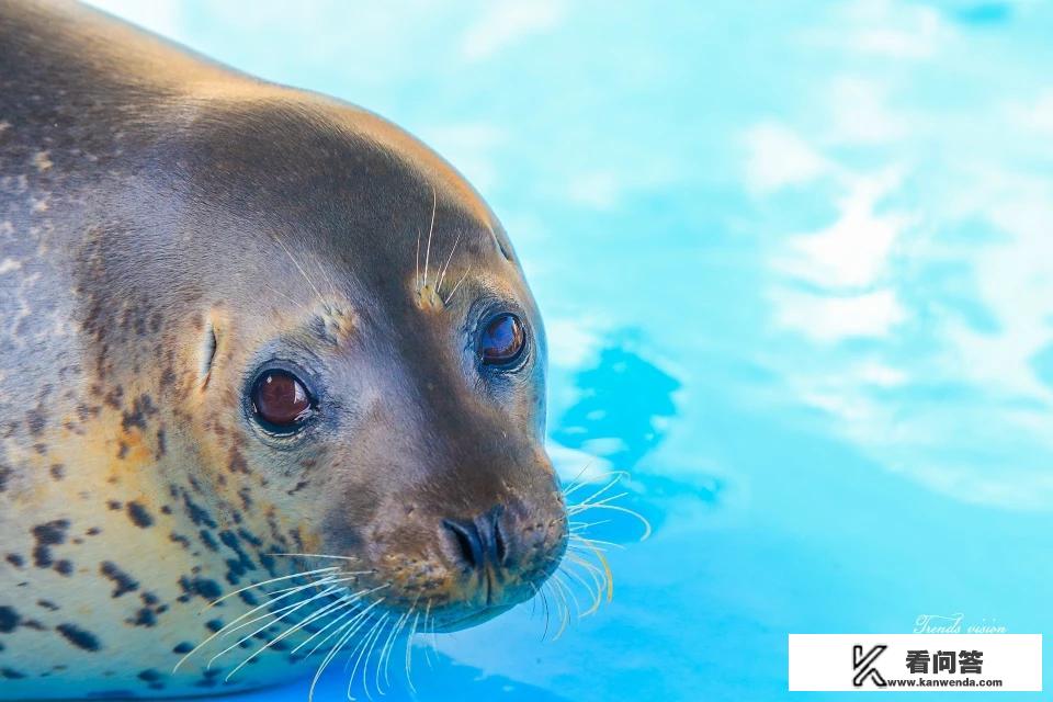 蓬莱长岛住宿攻略有哪些？