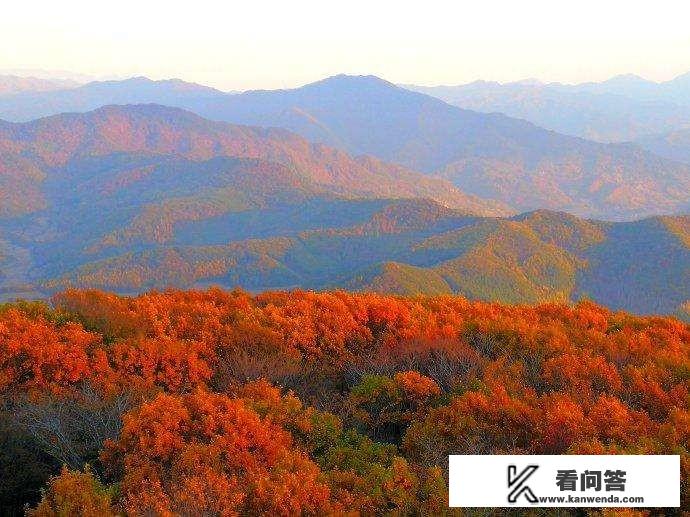 十一假期，旅游时光，景区哪个好？哪个不好？