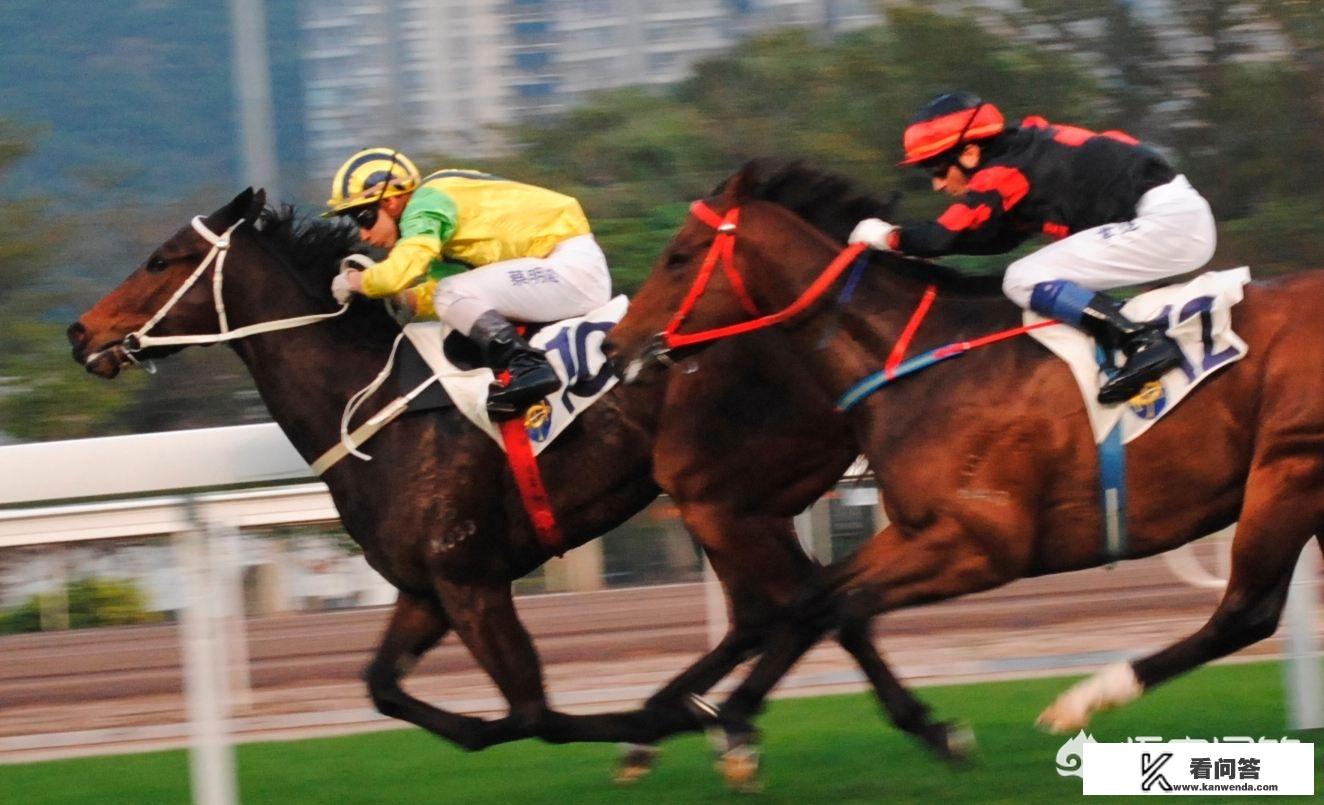 为什么香港人那么喜欢赛马？