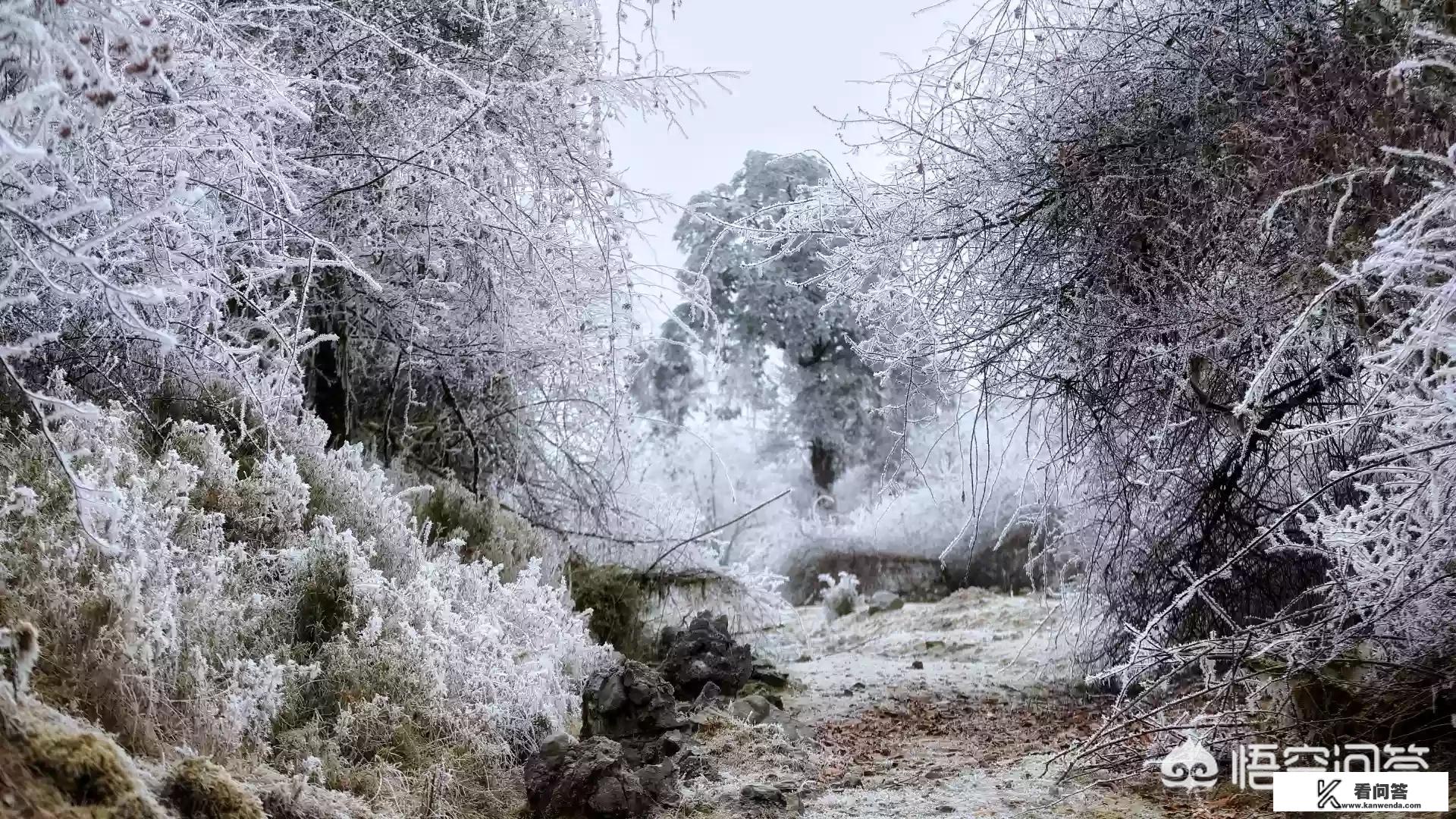 去川西游玩，有哪些旅游攻略？如果下大雪的话，风景还会不会美呢？