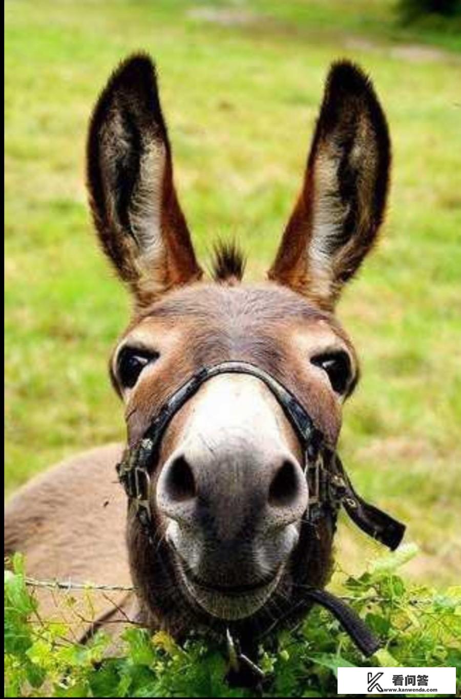 成都周边适合情侣一日游的地方有推荐吗? 成都周边适合情侣一日游的地方有推荐吗?