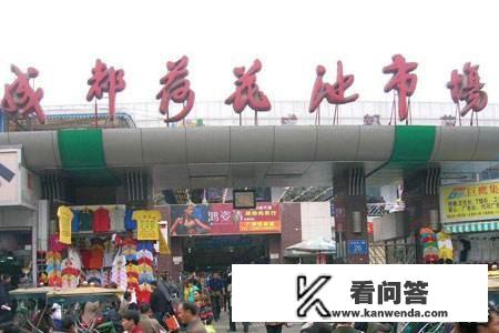 国内购物平台都有哪些？