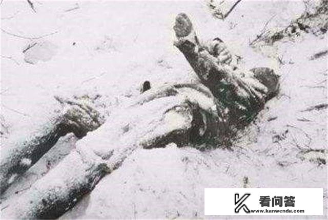 科学解析：人究竟是怎么被冻死的？