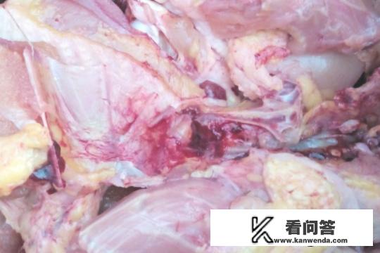 怎样做榴莲皮炖鸡? 怎样做榴莲皮炖鸡?