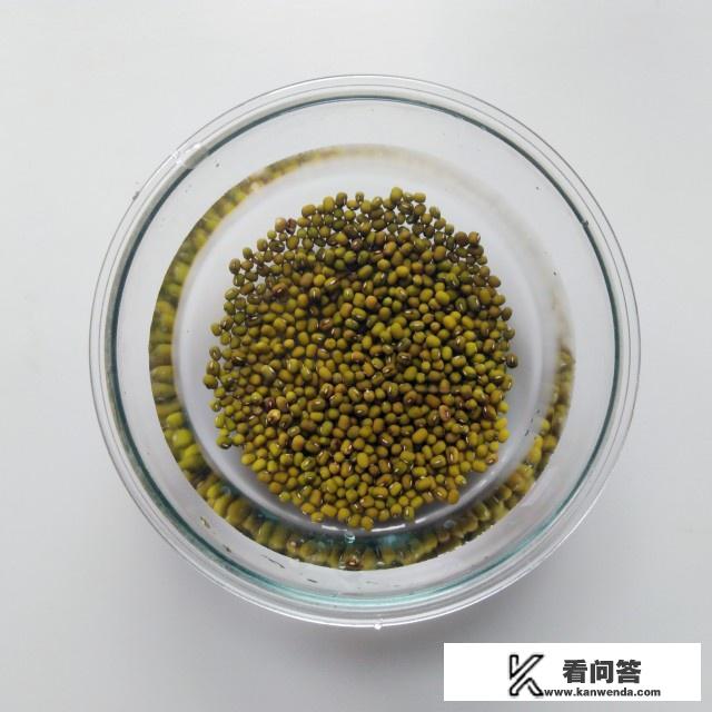 怎么在家自己做绿豆芽？