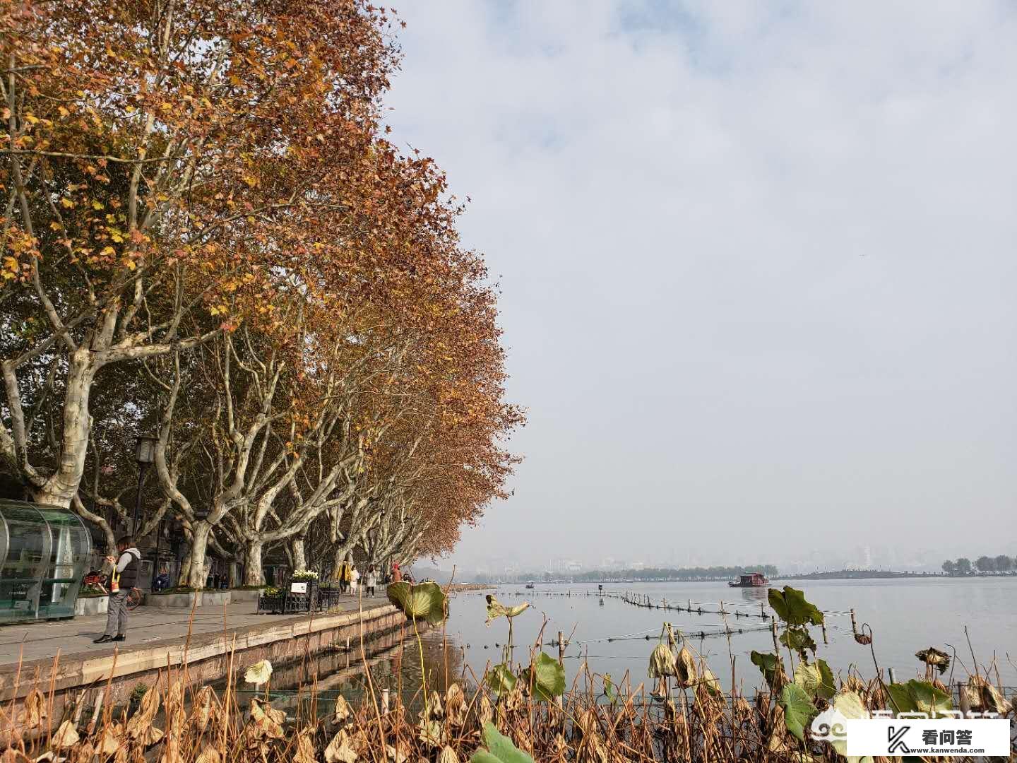 求推荐从成都到杭州三日游,怎么安排性价比较高,😊😊😊? 求推荐从成都到杭州三日游,怎么安排性价比较高,😊😊😊?